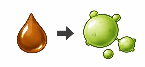 糖の利用と発酵開始のイメージ